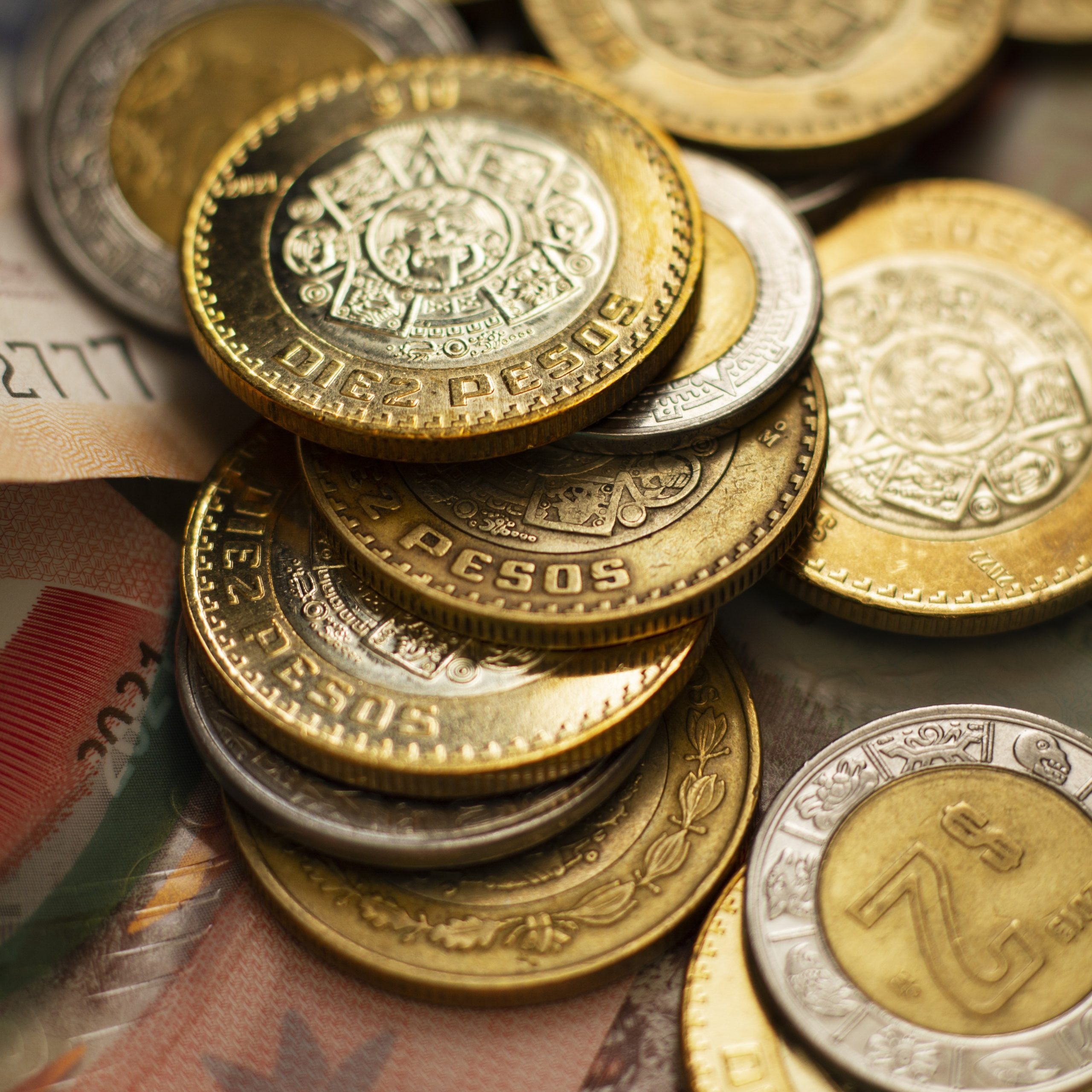 Build the Business First, Then Get the Tax Right