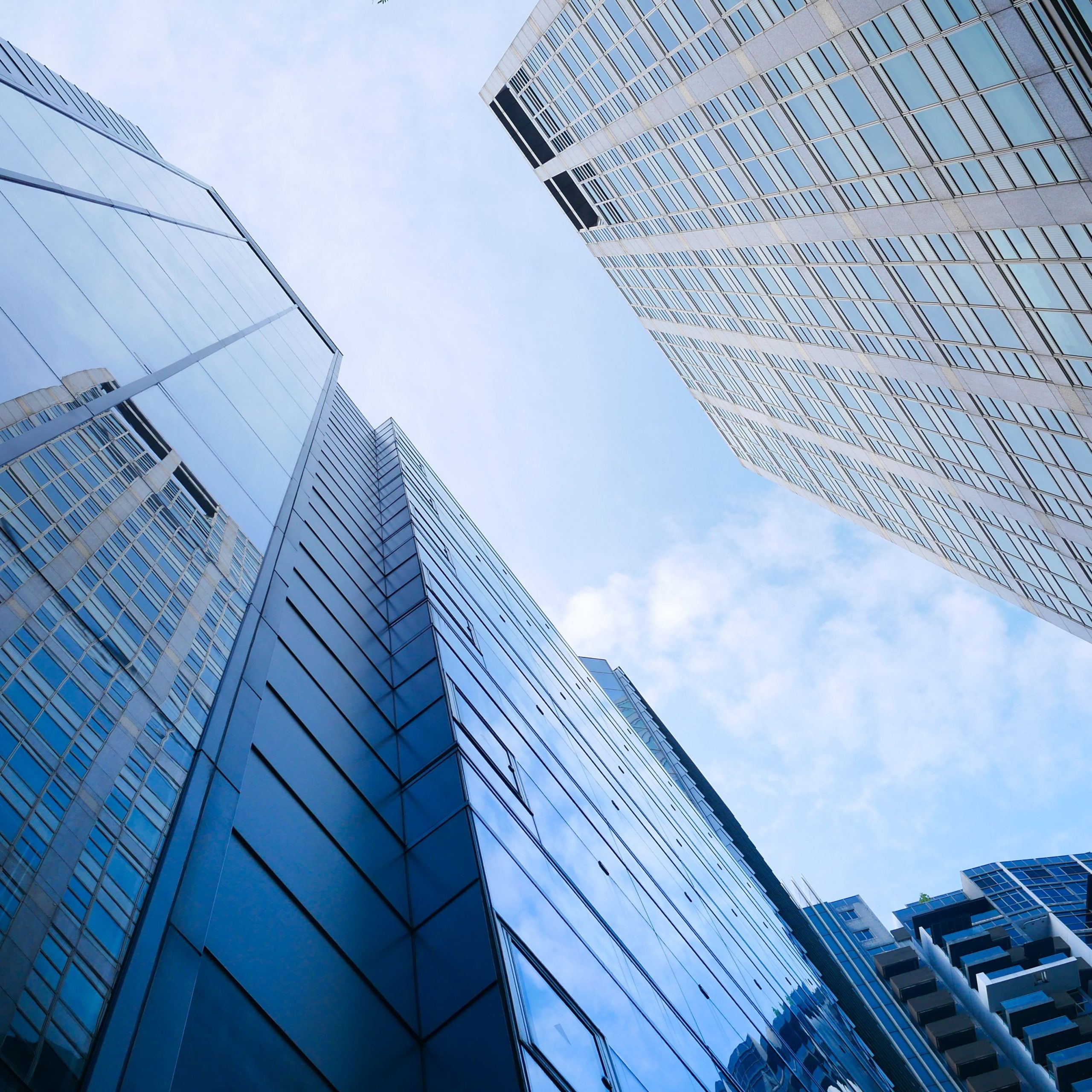 E-Invoice Exemption: Turnover, Eligibility Criteria and Implementation Dates