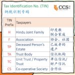 Understanding the Tax Identification Number (TIN) Prefix in E-Invoicing ...